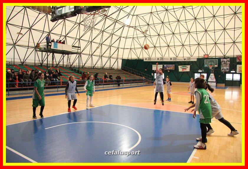 170107 basket 051_tn.jpg